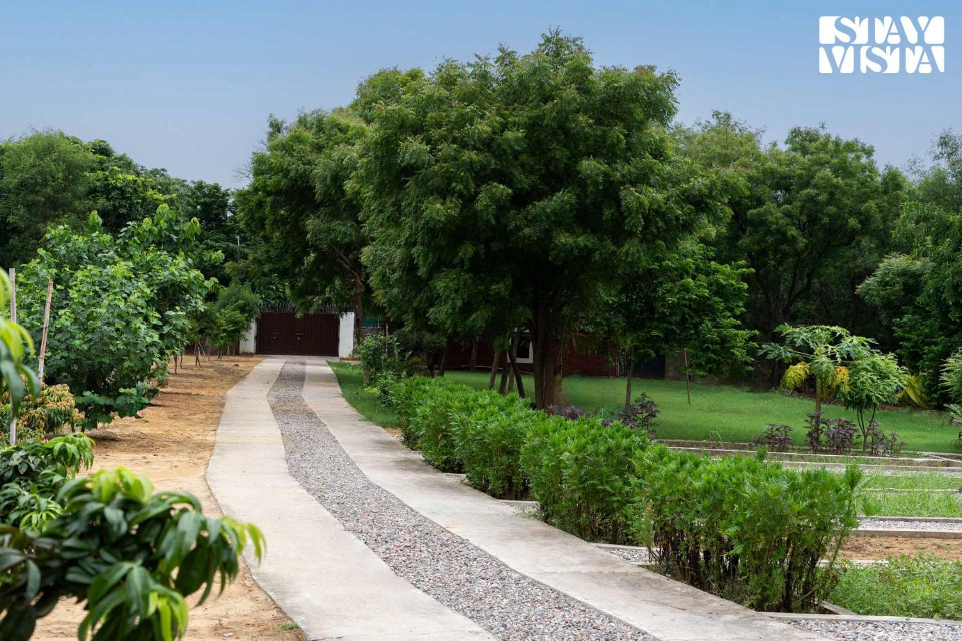 Stayvista At Idyllic Farmhouse - A Glasshouse With Outdoor Pool Gurgaon Exterior foto
